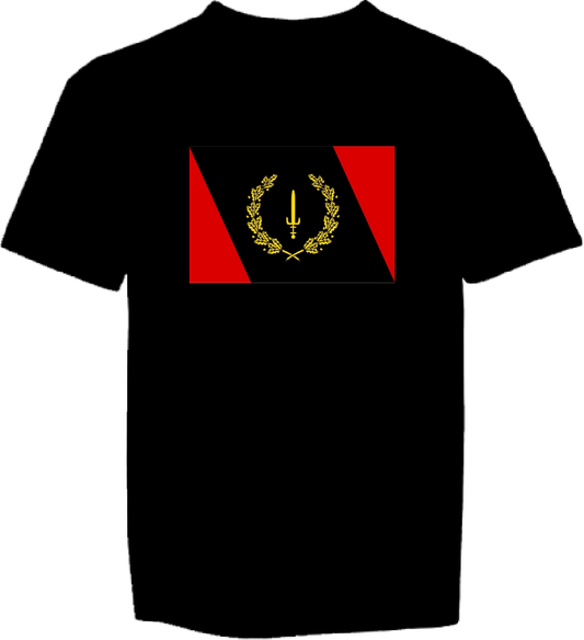 Children's Black Heritage Flag T-shirt DTF