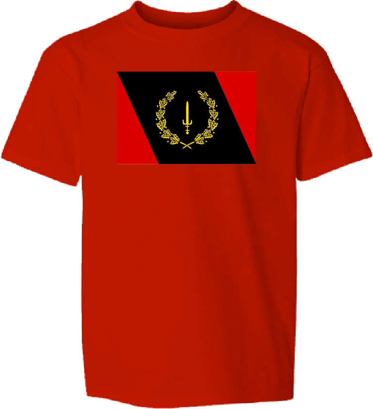 Children's Black Heritage Flag T-shirt DTF